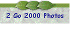 2 Go 2000 Photos