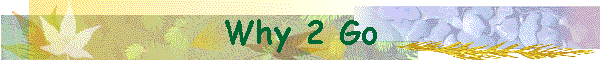 Why 2 Go