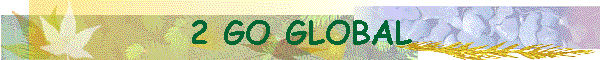 2 GO GLOBAL